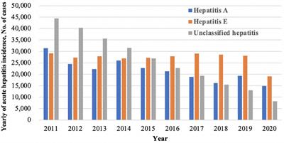 Epidemiological Characteristics and Clinical Manifestations of Hepatitis E in a Tertiary Hospital in China: A Retrospective Study